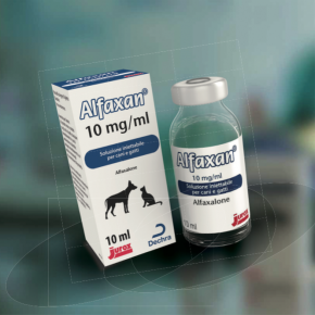 Alfaxan - il nuovo anestetico per cani e gatti
