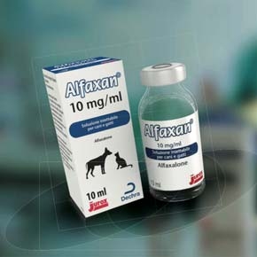 Sedazione nel gatto con Alfaxalone e Metadone